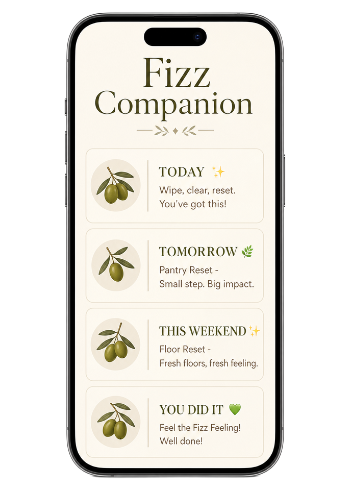 Fizz Companion app on a smartphone
